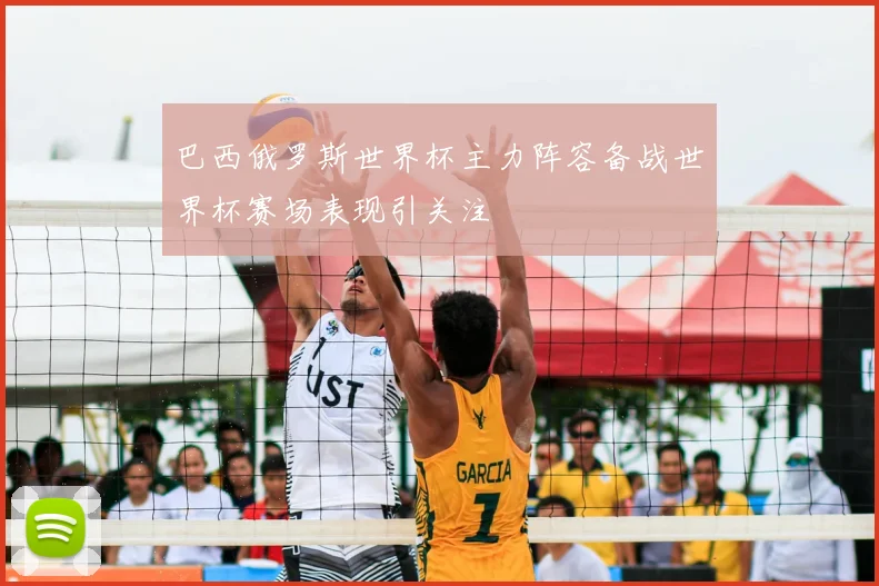 巴西俄罗斯世界杯主力阵容备战世界杯赛场表现引关注