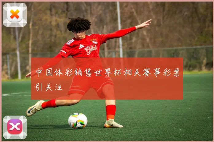 中国体彩销售世界杯相关赛事彩票引关注