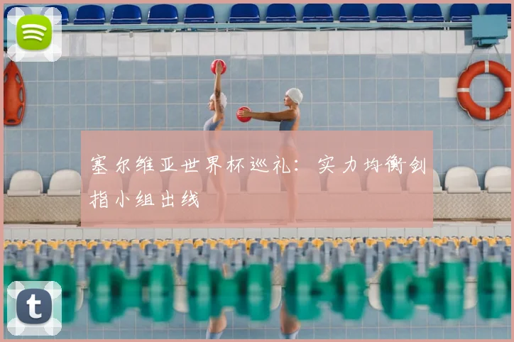 塞尔维亚世界杯巡礼:实力均衡剑指小组出线