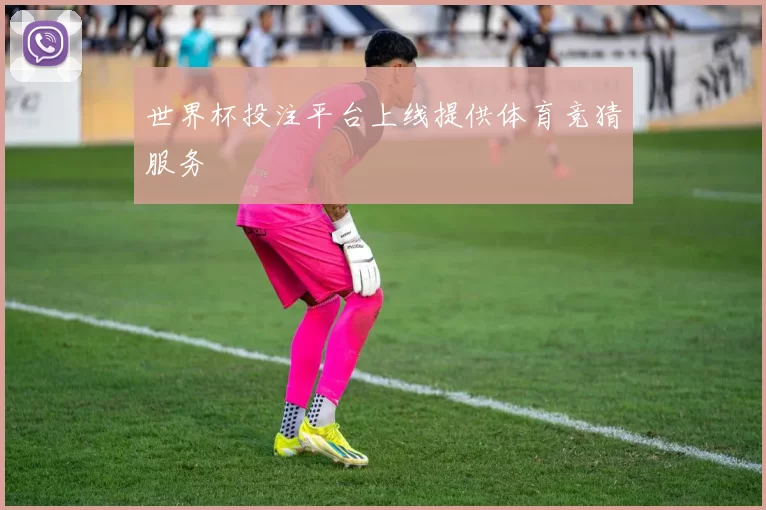 世界杯投注平台上线提供体育竞猜服务