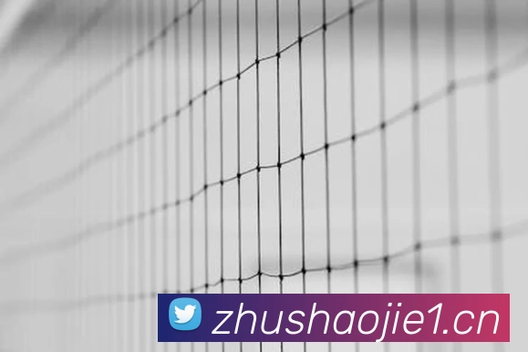 333体育(中国)官方网站 - 333 SPORTS品牌故事